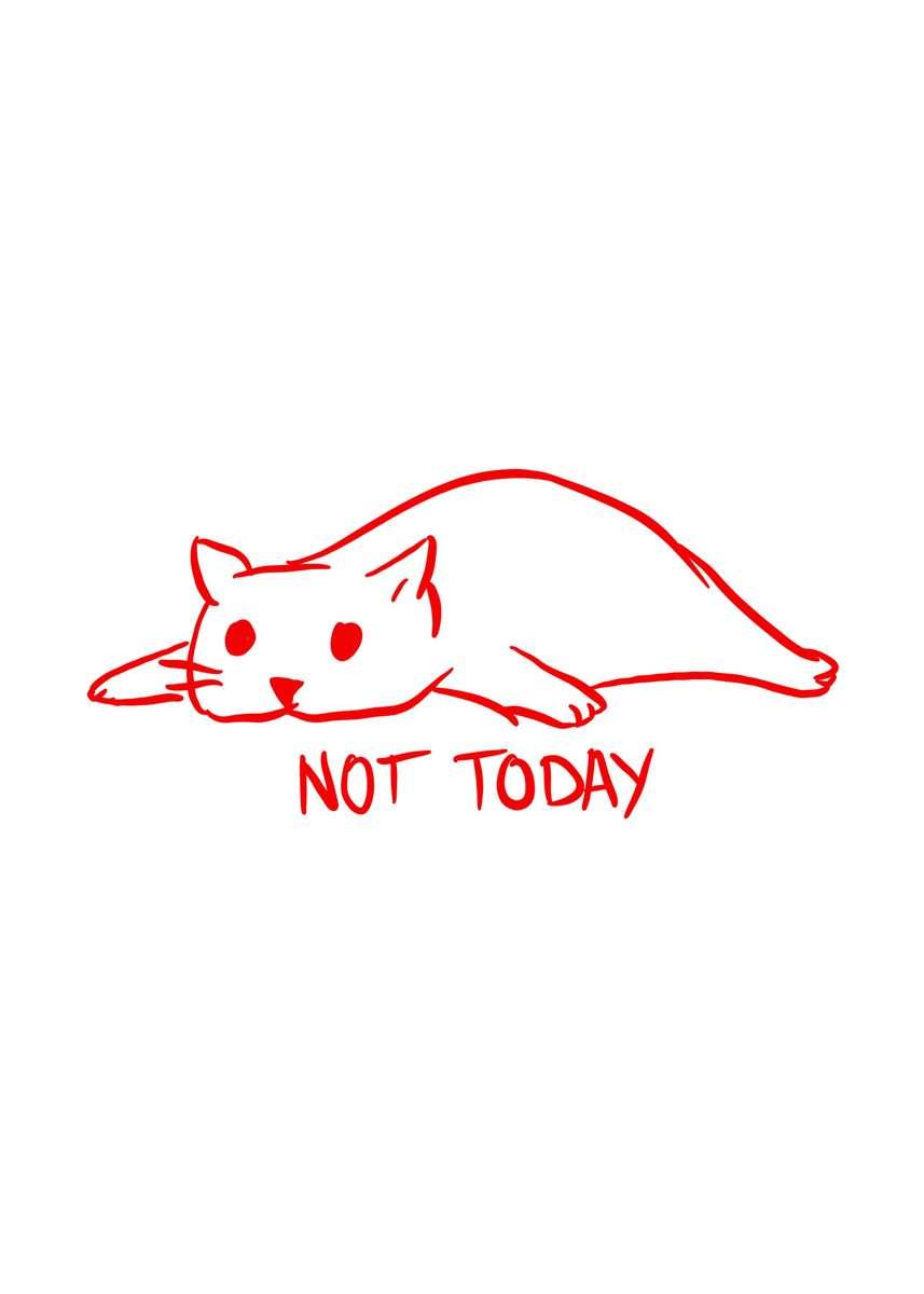 not today cat