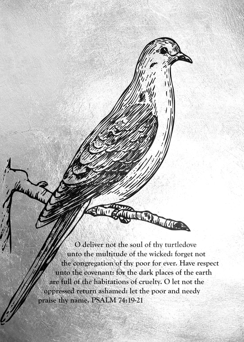 psalm-74-19-21-turtledove-poster-picture-metal-print-paint-by
