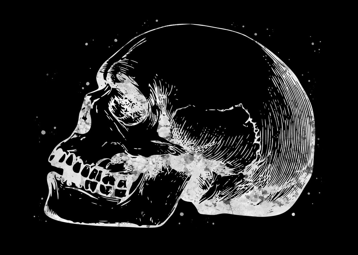 tumblr skull black and white