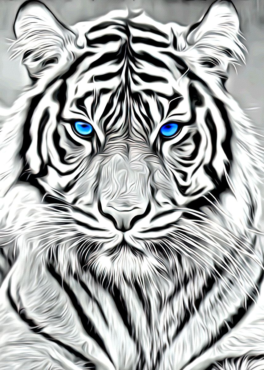 black and white tiger image