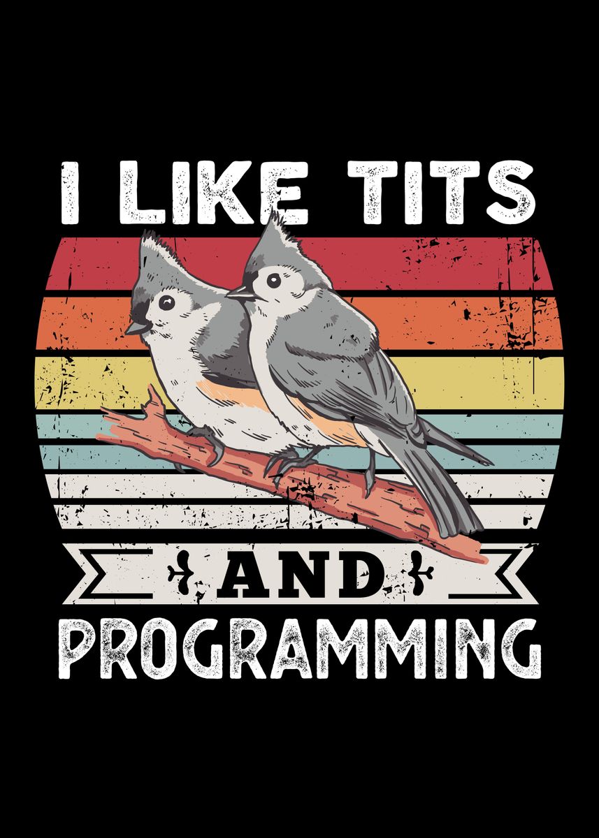 I like Tits Programming' Poster, picture, metal print, paint by Phil