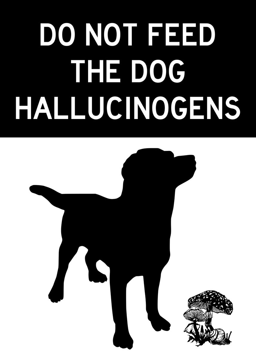 'DO NOT FEED DOG FUNNY 2' Poster, picture, metal print, paint by Atomic