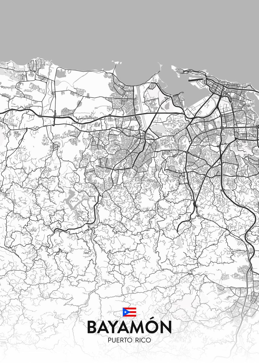 'Bayamon PR' Poster by IMR Designs Displate