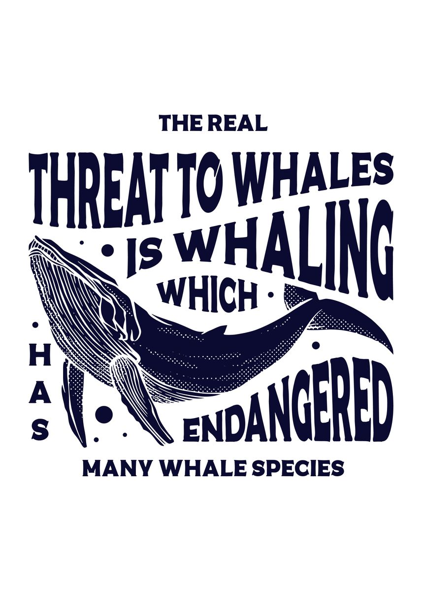 'Whale' Poster by vintagedivision | Displate