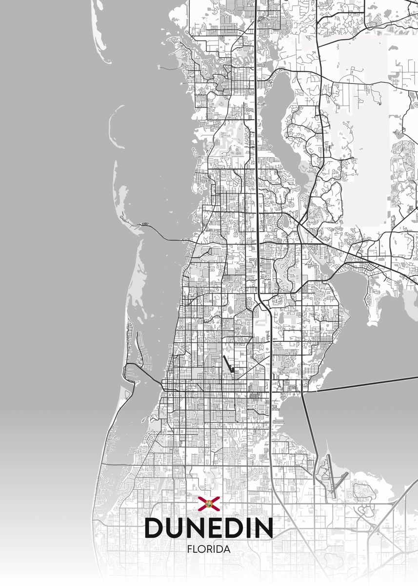 'Dunedin FL' Poster by IMR Designs Displate