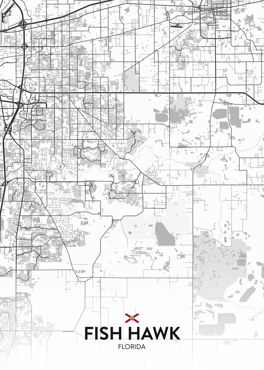 'Fish Hawk FL' Poster by IMR Designs Displate