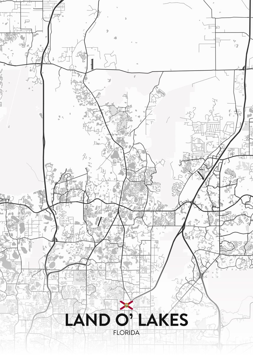 'Land O Lakes FL' Poster by IMR Designs Displate