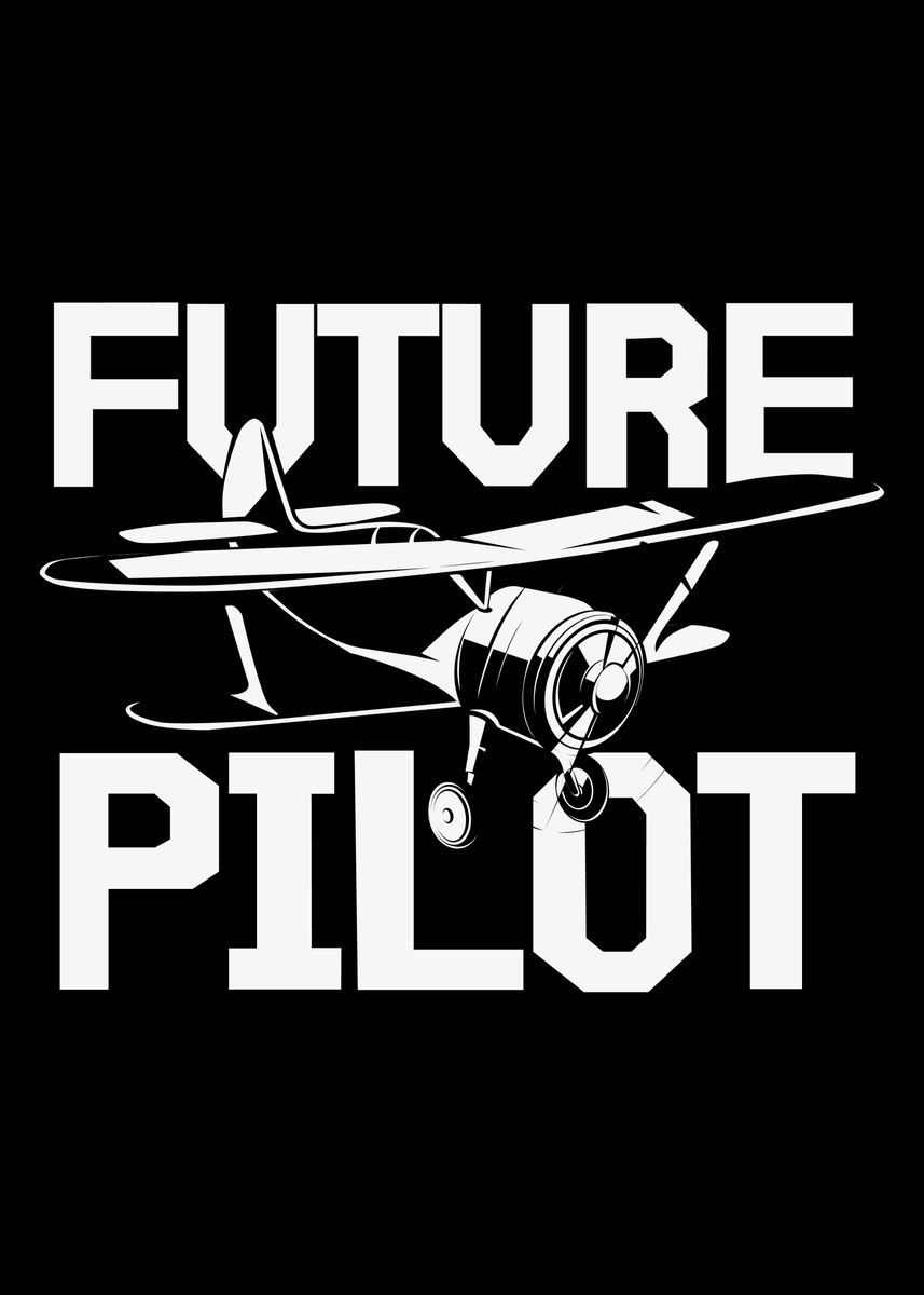 'Pilot Funny Saying Pilot' Poster by KaSeRa | Displate