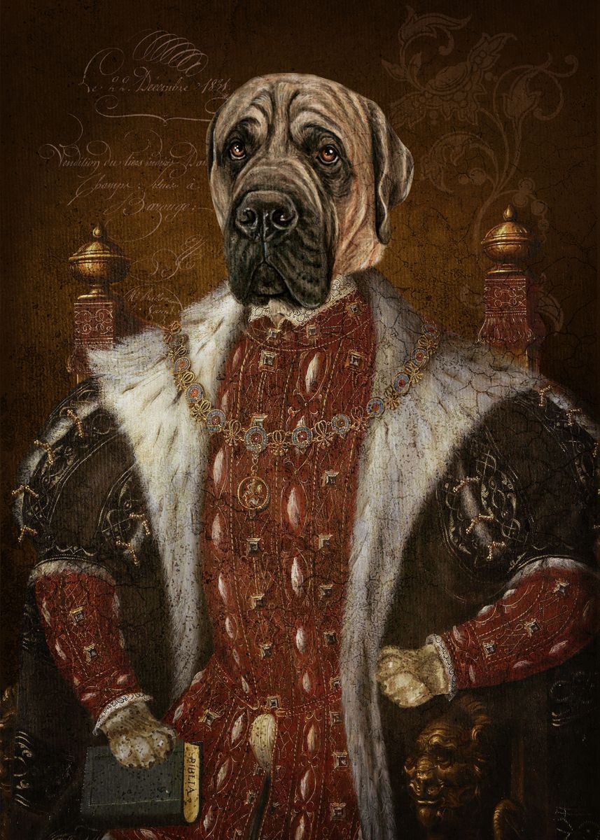 Royal Dog Clothing 
