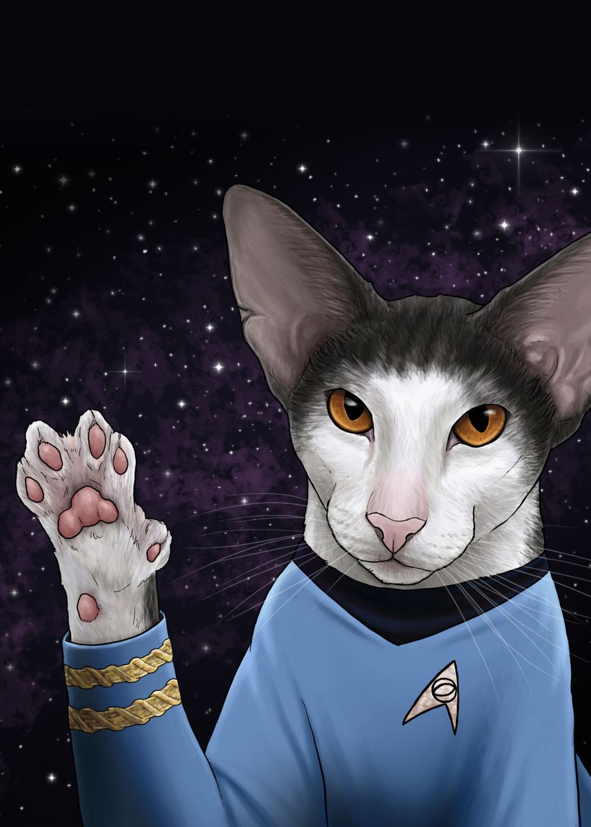 'Star Trek Cats 15' Poster, picture, metal print, paint by Star Trek ...