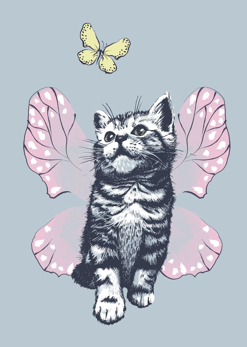 kitten butterfly