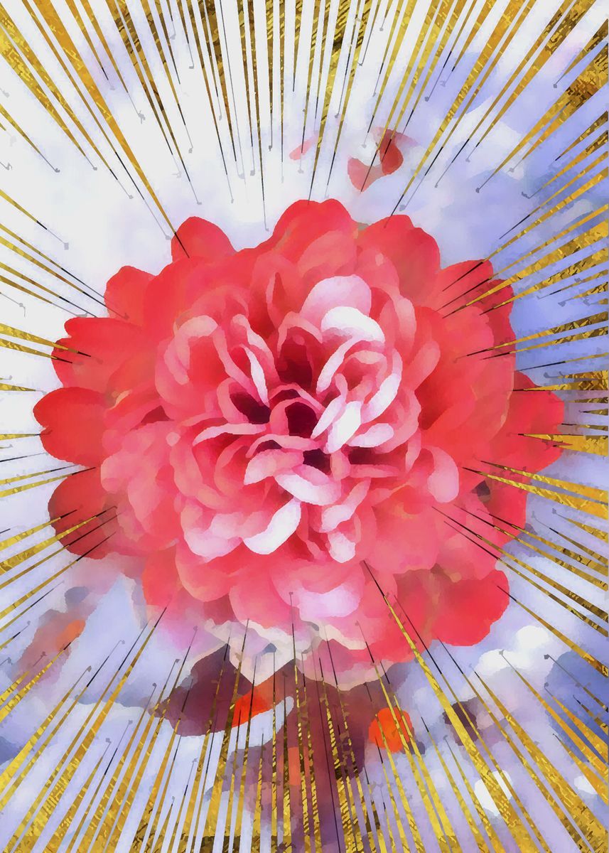 ‘Coral Dahlia with golden a’ Poster, picture, metal print, paint by Edy