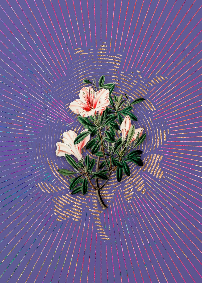 'Variegated Chinese Azalea' Poster, picture, metal print, paint by Holy ...