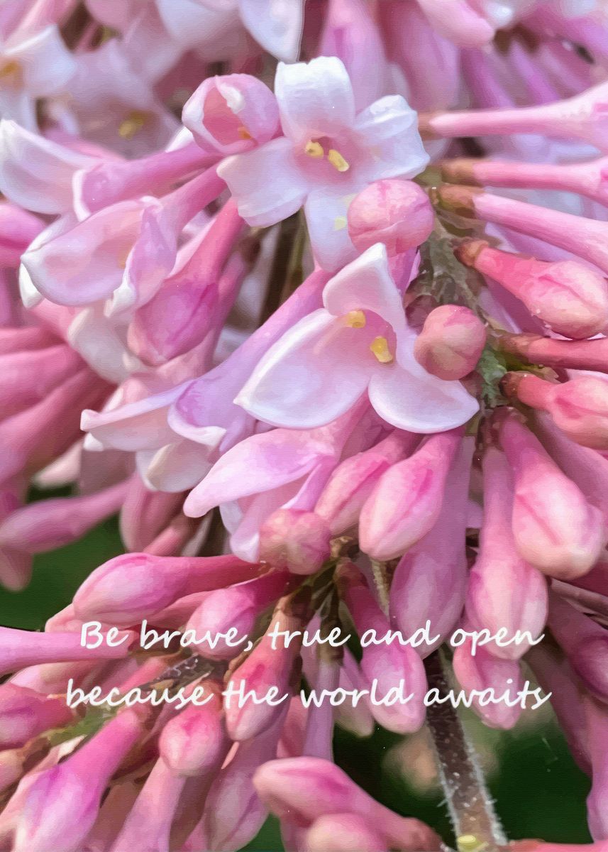 'Lilacs' Poster by CLOWNZ ART Displate