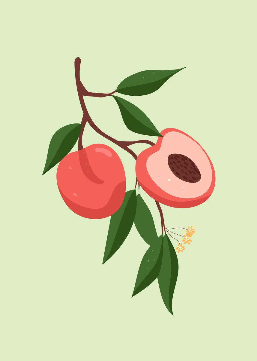 'Fresh Peach fruit wall art' Poster by Human Shadow Displate