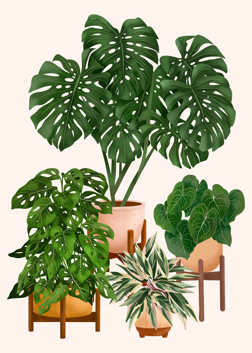 'Indoor plants 4' Poster by Gush Art Studio | Displate