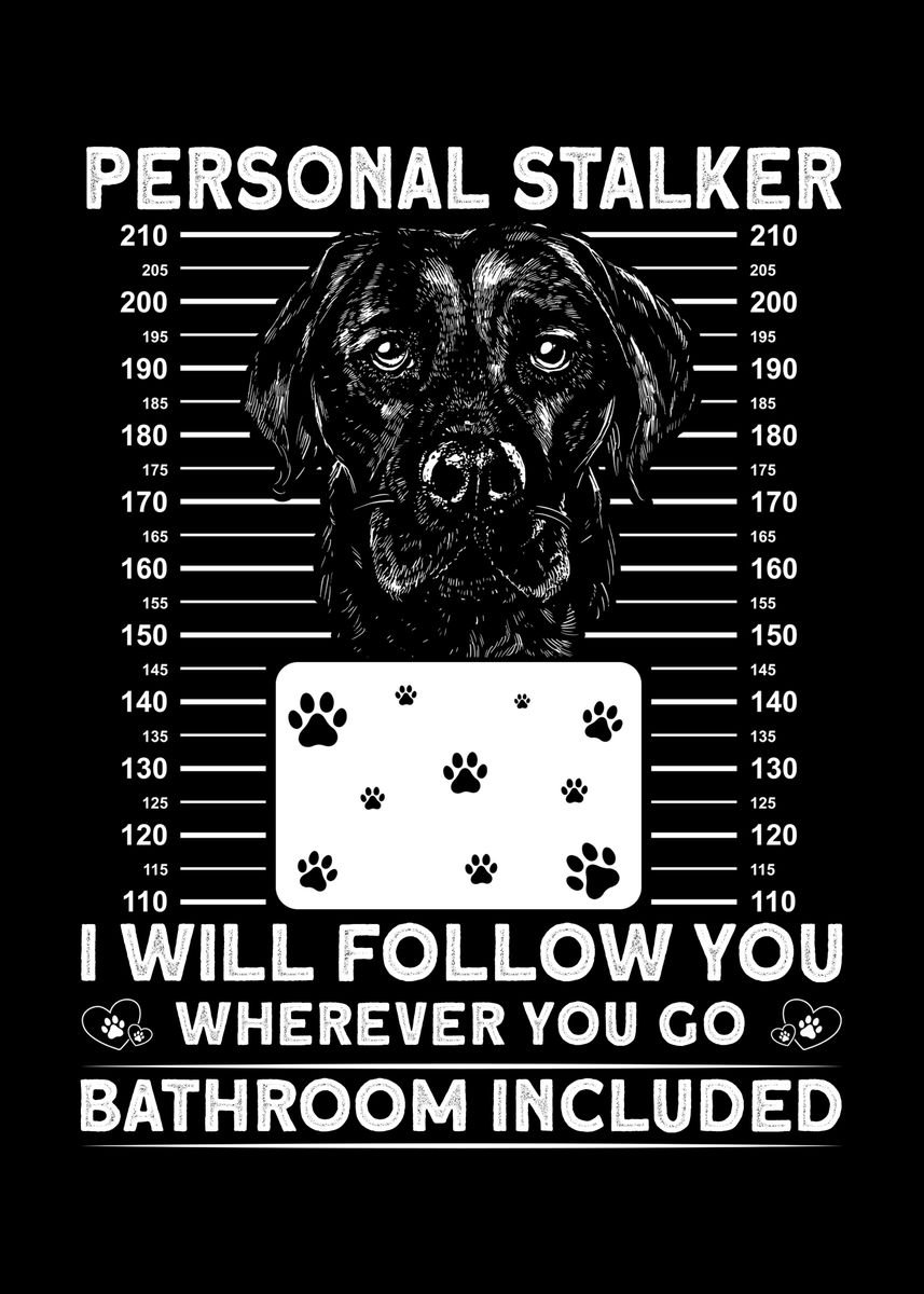 'Personal Stalker Labrador ' Poster, picture, metal print, paint by ...