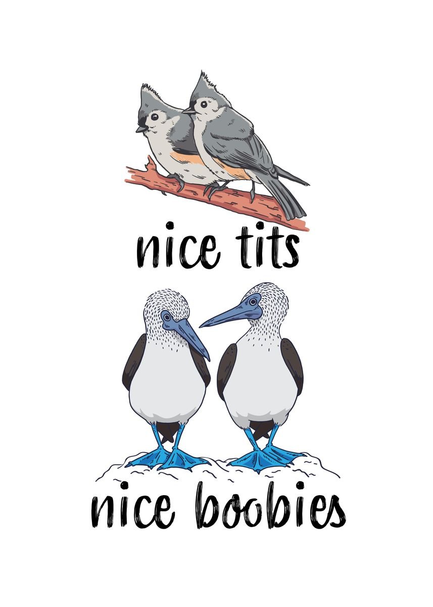 Nice Tits and Nice Boobies' Poster, picture, metal print, paint by Phil