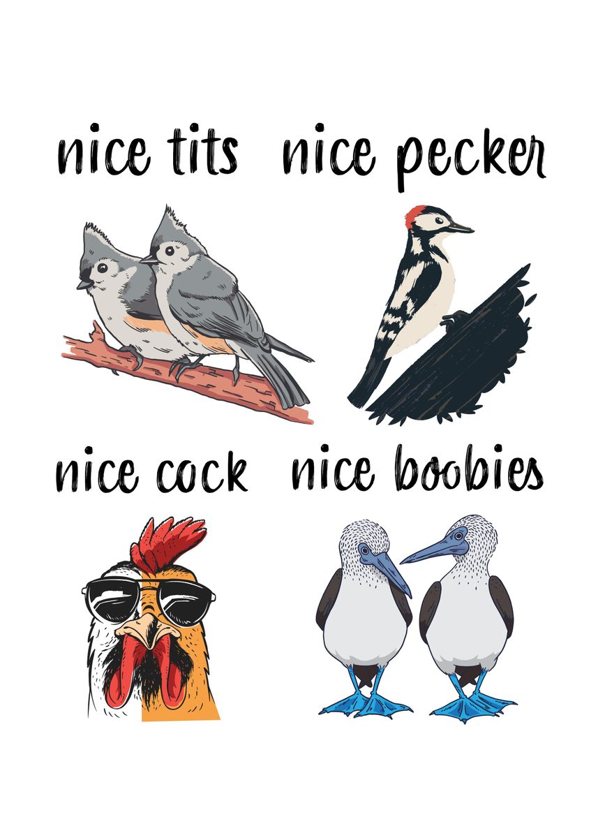 Funny Birds Nice Tits Poster By Qwertydesigns Displate