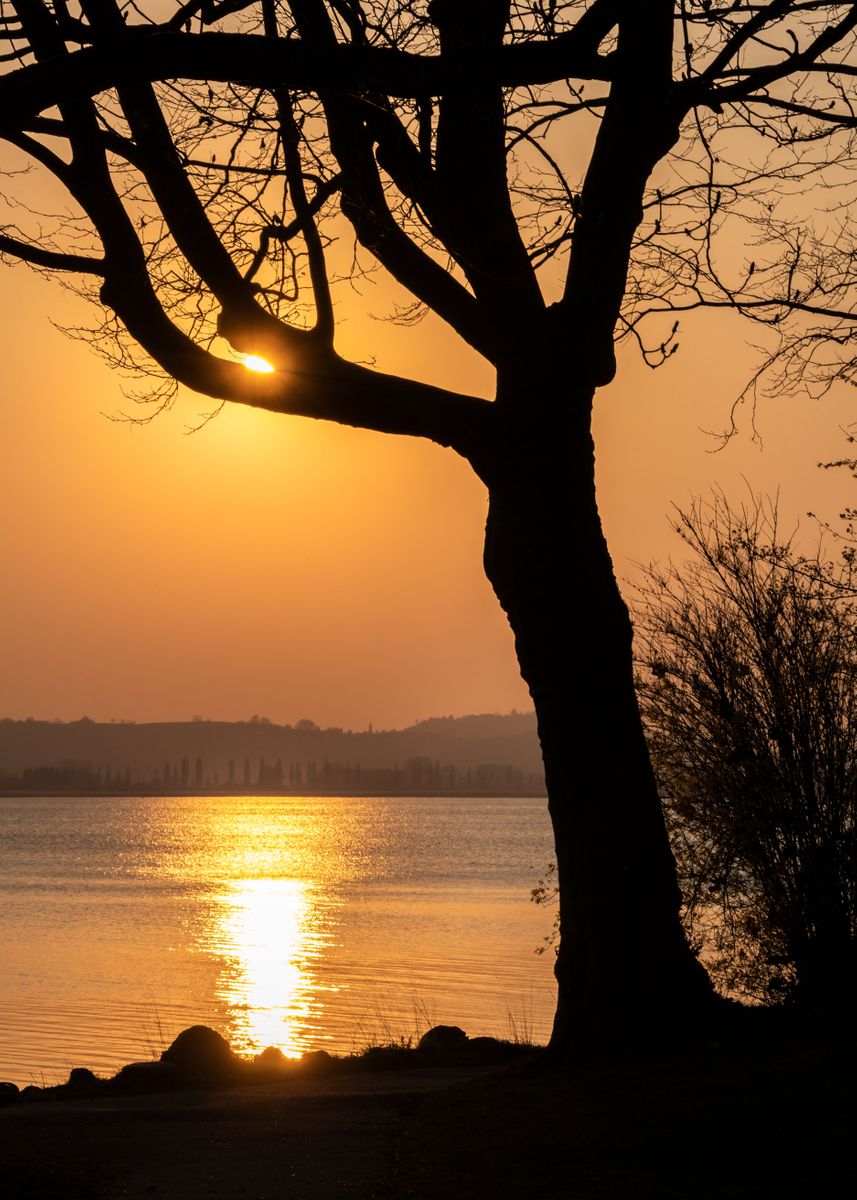  sunset Silhouette Poster By Marc Kunze Displate