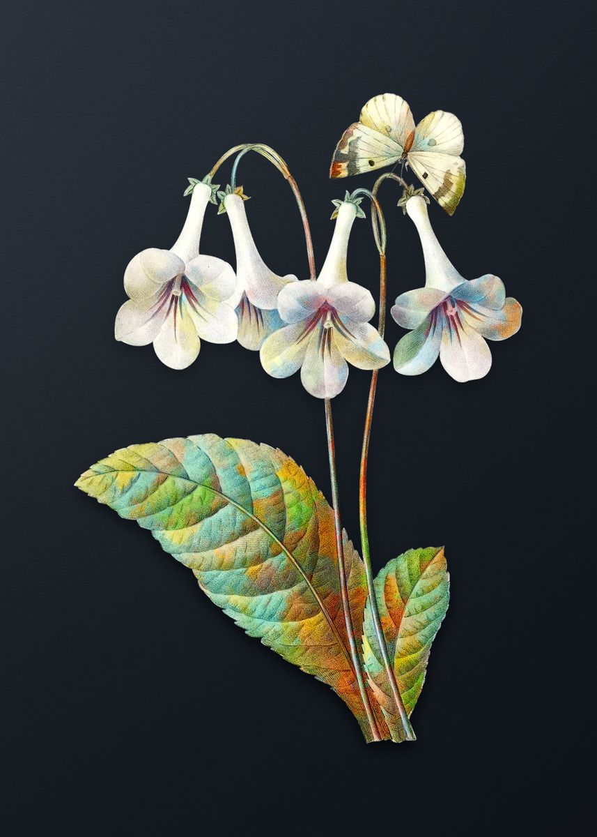 ‘Vintage Canterbury Bells’ Poster by Holy Rock Design | Displate