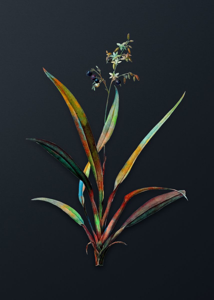 'Vintage Flax Lilies Flower' Poster, picture, metal print, paint by ...