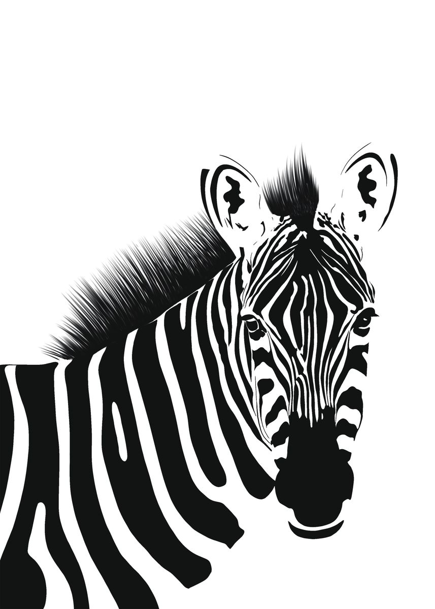 'Zebra ' Poster, picture, metal print, paint by holailustra | Displate