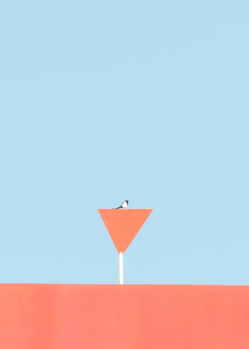 'Bird Geometry' Poster by Laura Sanchez | Displate