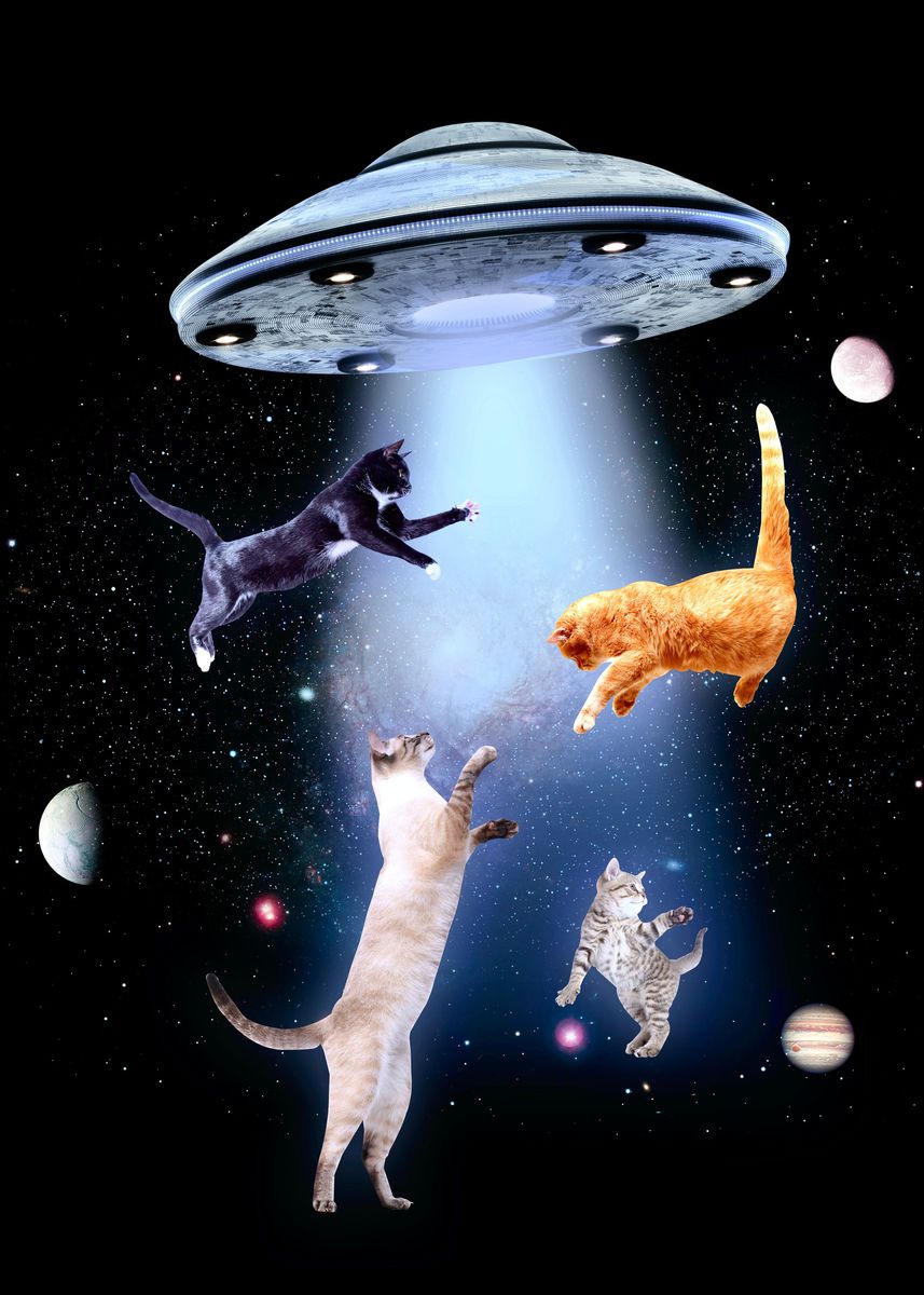 flying cats in space