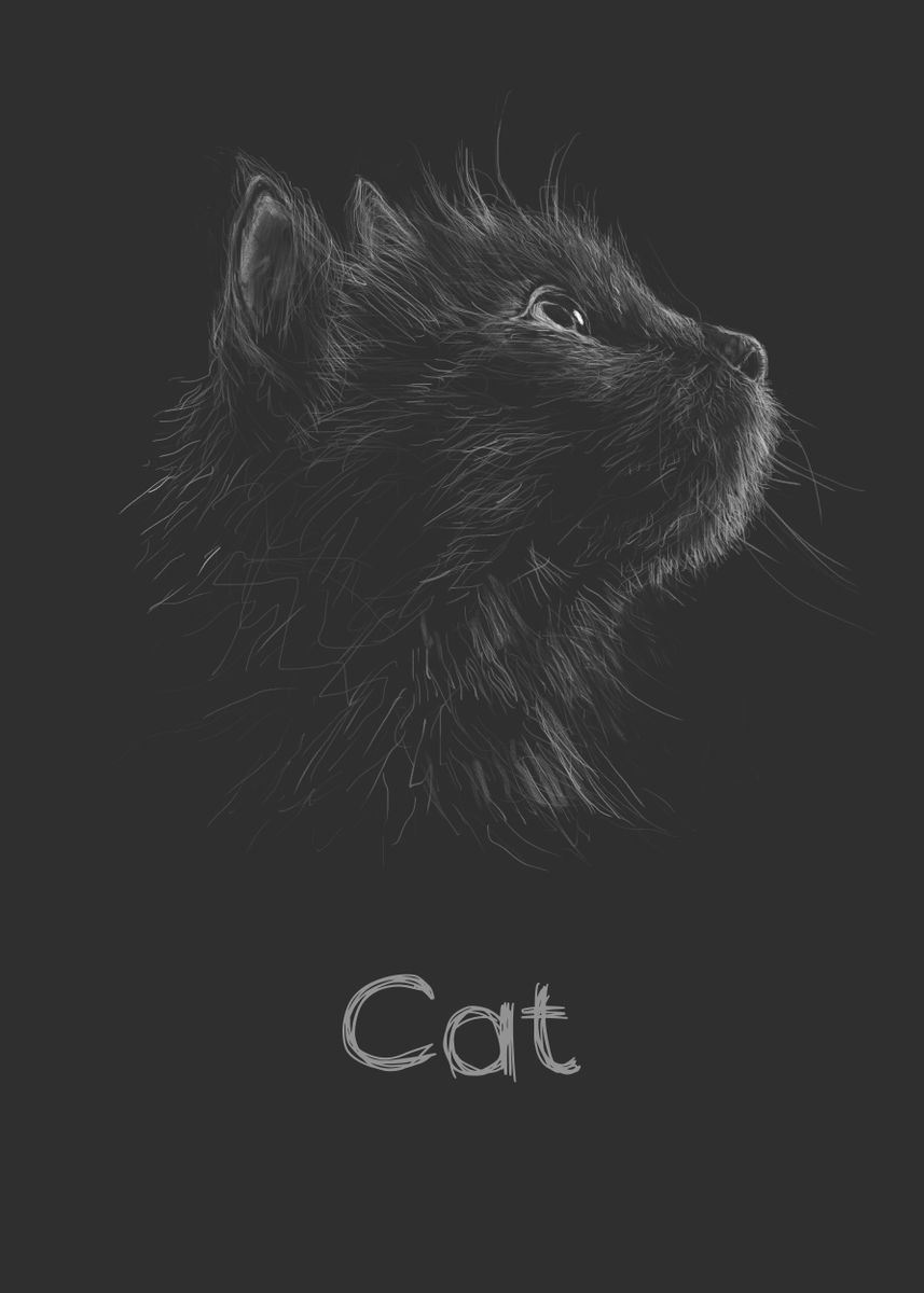 'Cat ' Poster by Faissal Thomas | Displate
