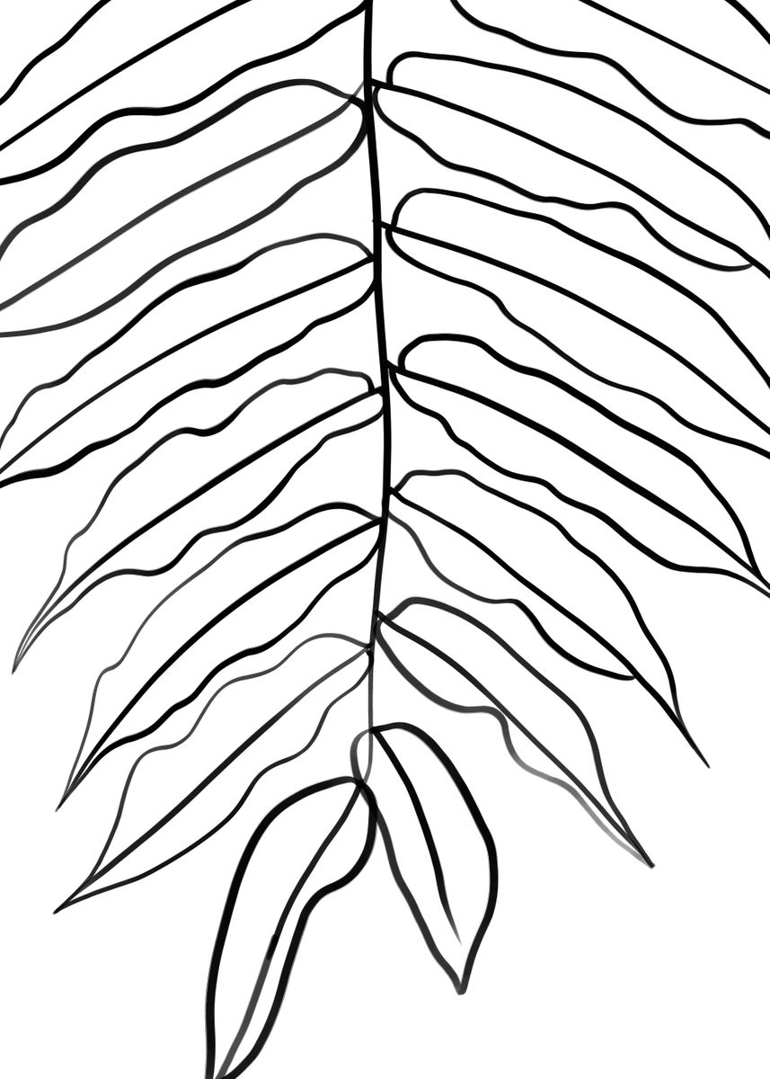 'Long leaves line art' Poster by Doodle Intent | Displate