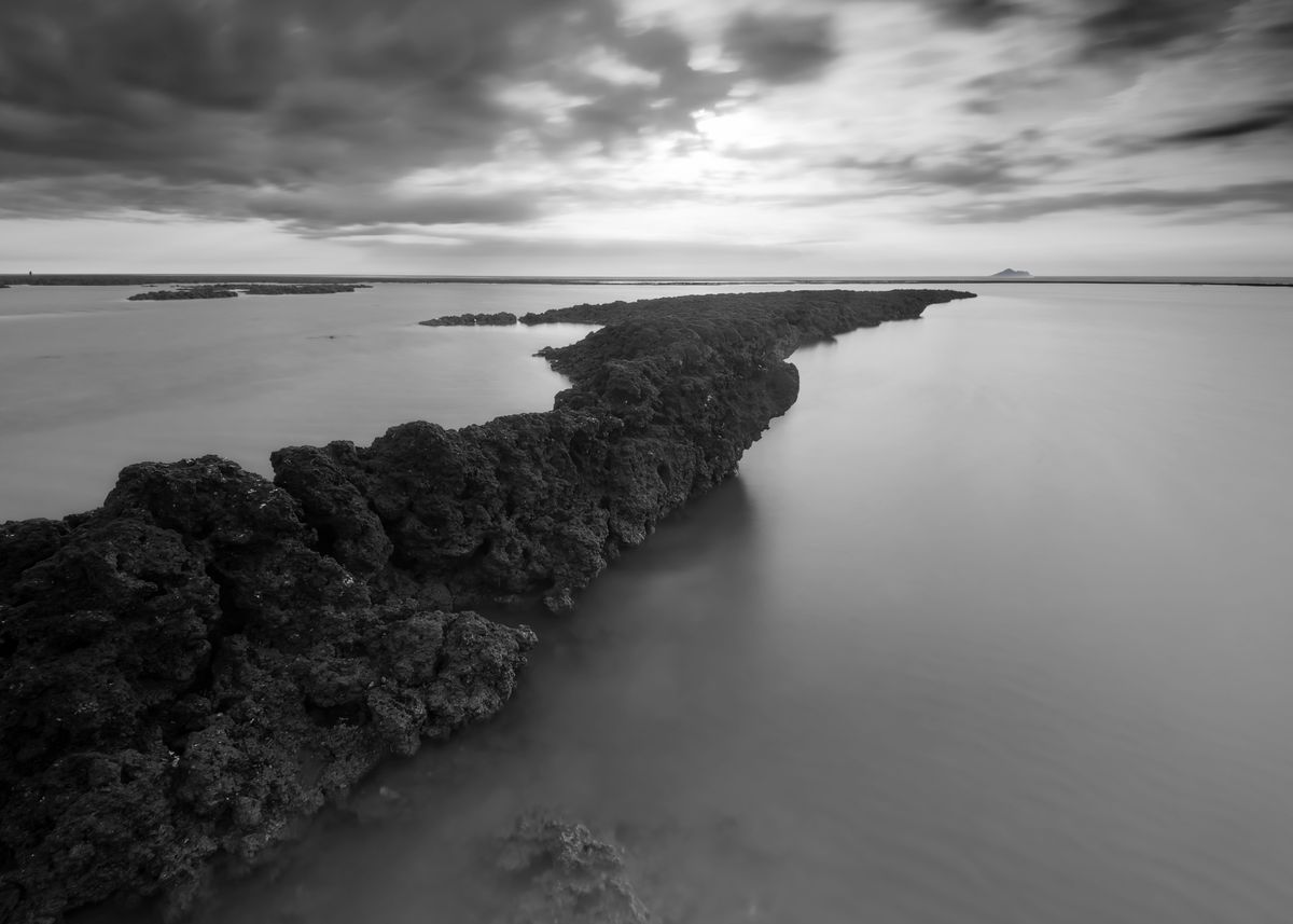 'Algae Reef Landscape' Poster by HanPing Tseng | Displate
