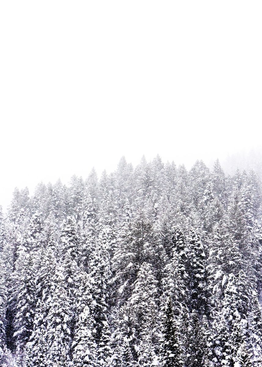 'Frozen Lands' Poster by Conceptual Photography | Displate