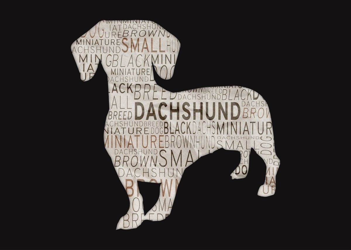 'Dachshund' Poster by Ines Zajia | Displate