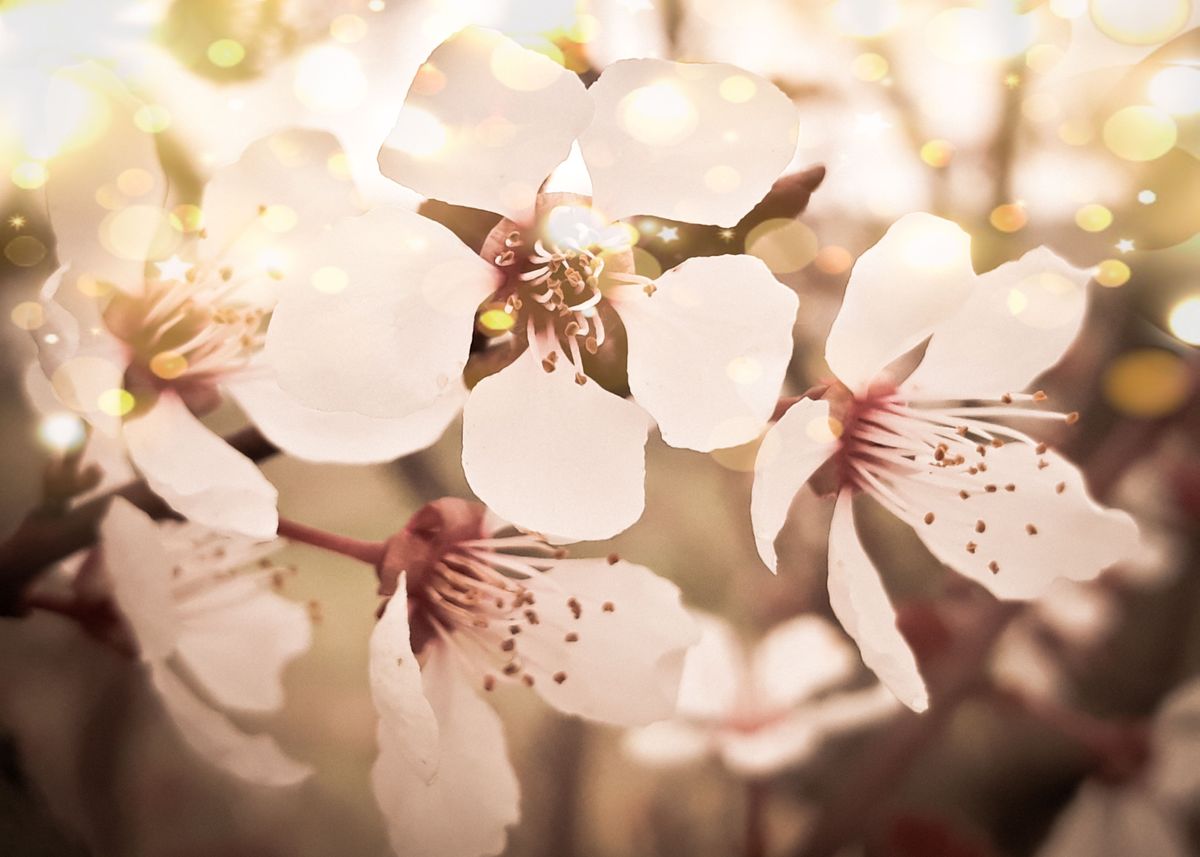 'Golden apple flowers' Poster by Edy Art Space | Displate