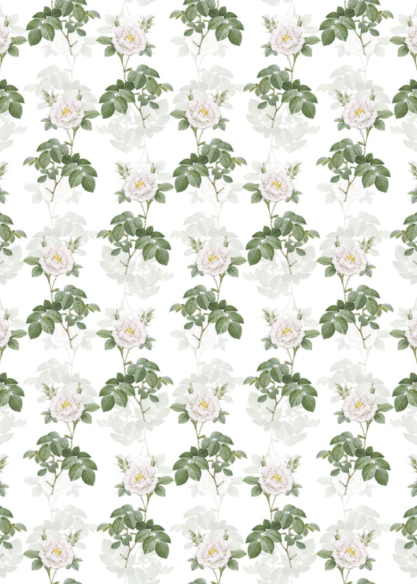 'Floral White Rose Pattern' Poster, picture, metal print, paint by Holy ...