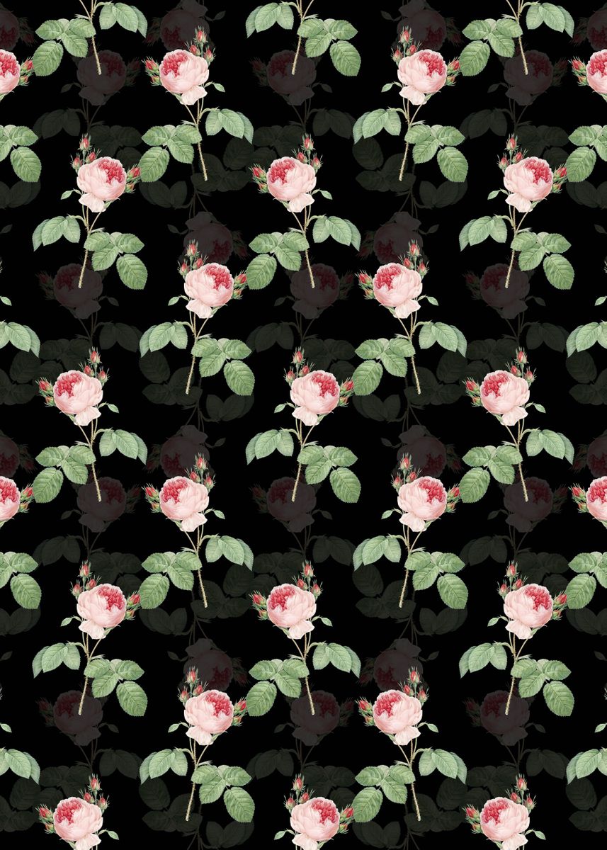 'Pink Cabbage Rose Pattern' Poster by Holy Rock Design | Displate