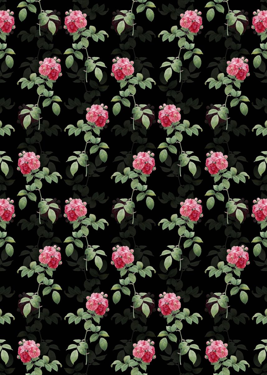 'Black Seven Sisters Roses' Poster, picture, metal print, paint by Holy ...