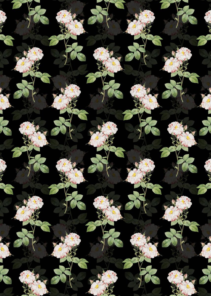 'White Damask Rose Pattern' Poster, picture, metal print, paint by Holy ...