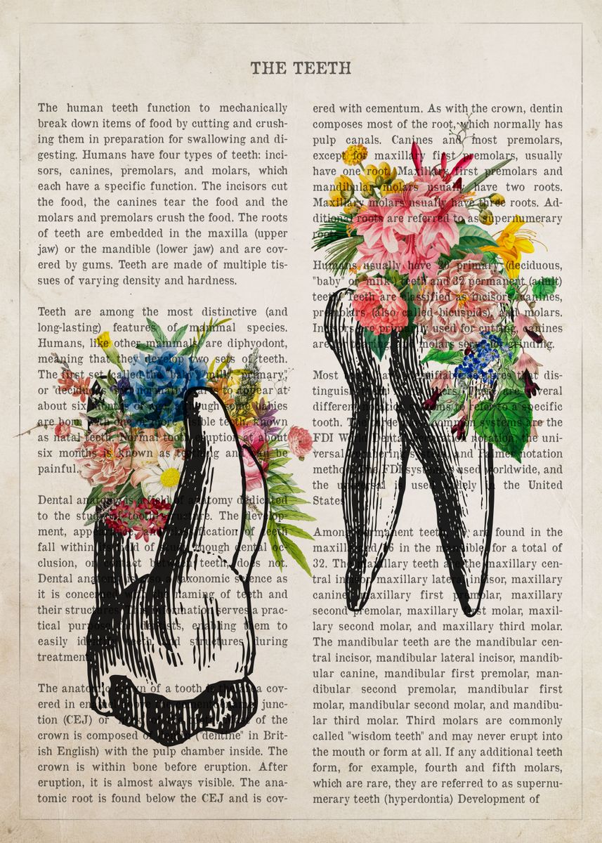 'Teeth Flower Anatomy' Poster, picture, metal print, paint by Aged ...