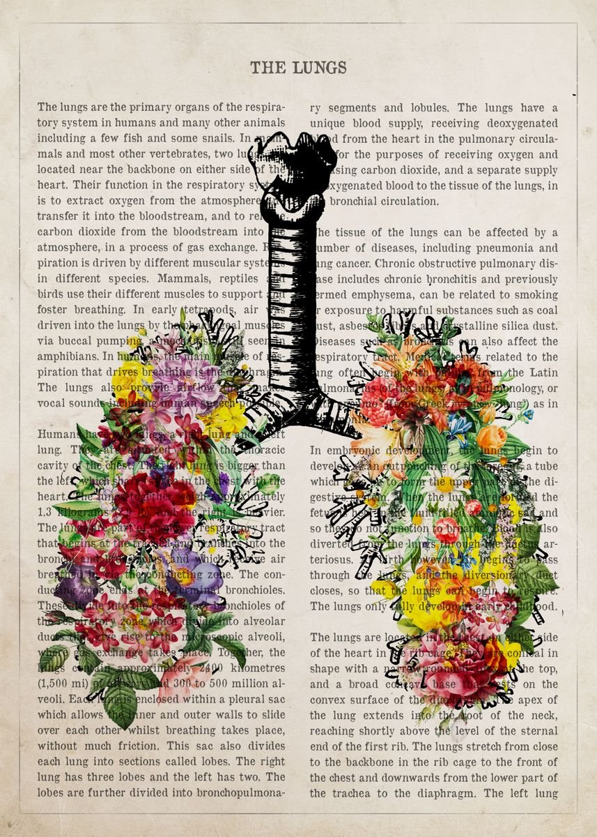 'human Lungs Anatomy' Poster, Picture, Metal Print, Paint By Aged Pixel 