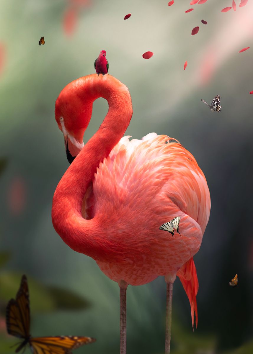 'Flamingo with Butterflies' Poster by Roman Robroek | Displate