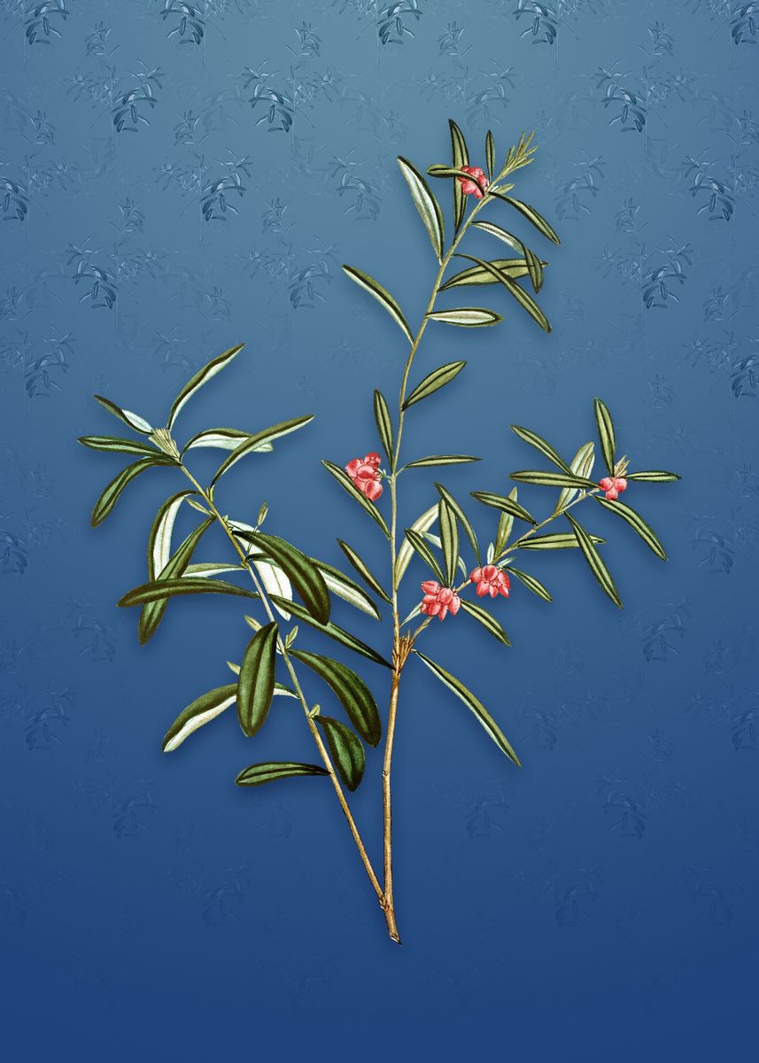 'Vintage Bog Rosemary Bush' Poster by Holy Rock Design Displate