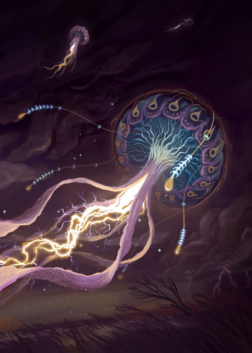 'Electric Jellyfish' Poster by Margot Zussy | Displate