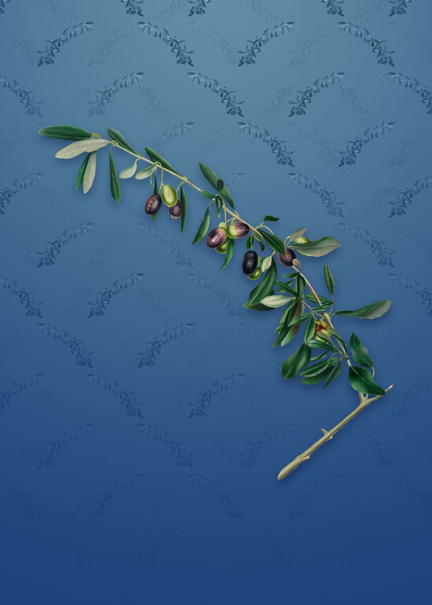 'Olives on Bahama Blue' Poster by Holy Rock Design Displate