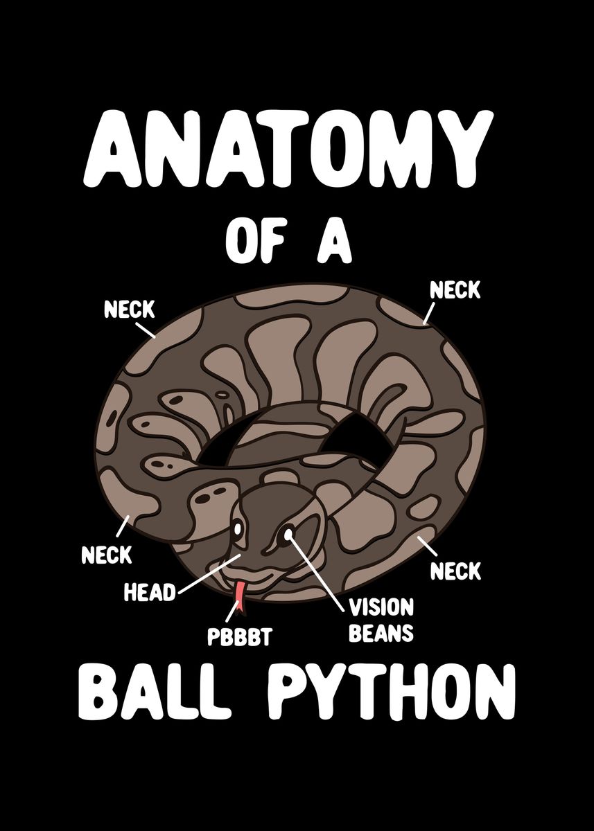 'anatomy Of A Ball Python' Poster By Uwe Seibert 