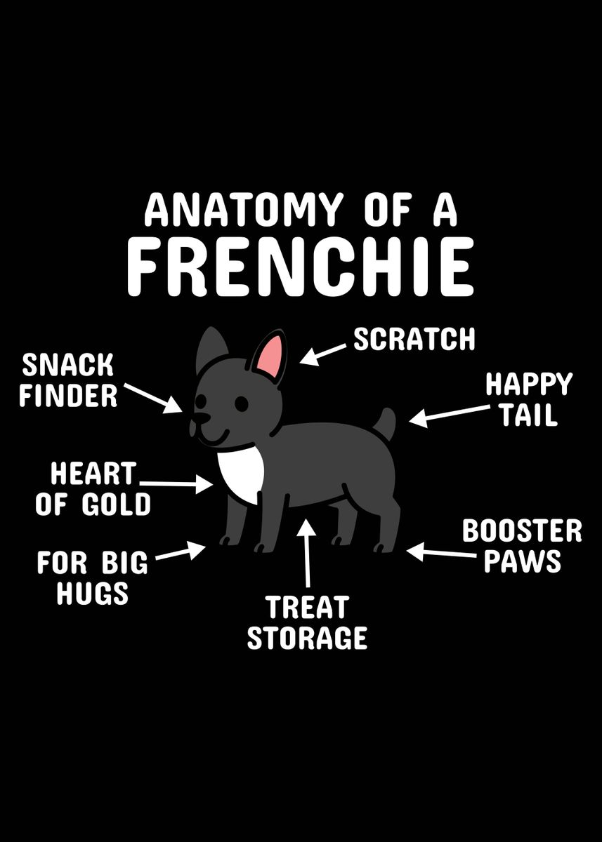 'French Bulldog Anatomy' Poster, picture, metal print, paint by