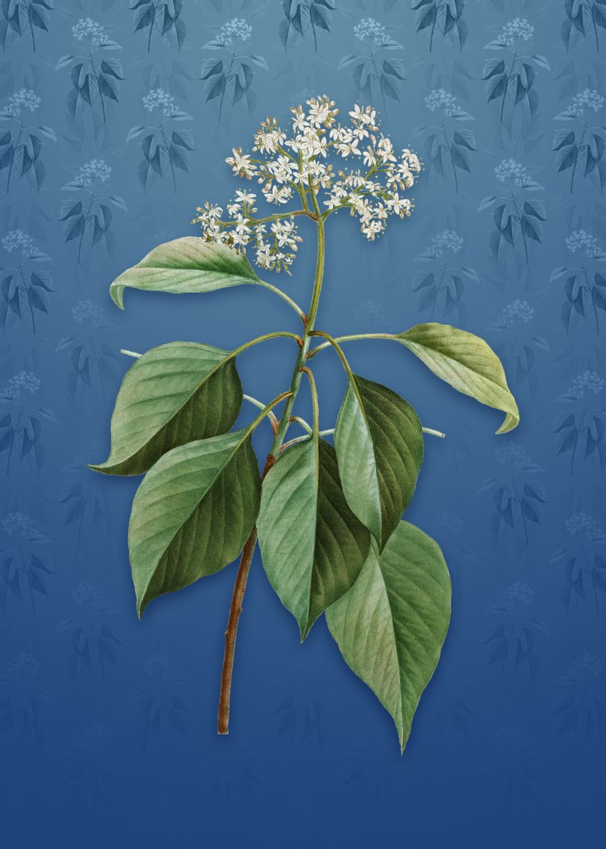 'Vintage Pagoda Dogwood' Poster, picture, metal print, paint by Holy ...
