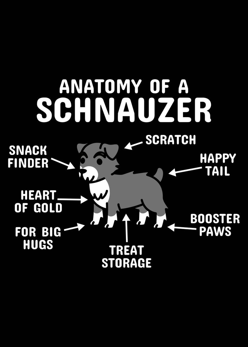 'Anatomy Of A Schnauzer' Poster, picture, metal print, paint by ...