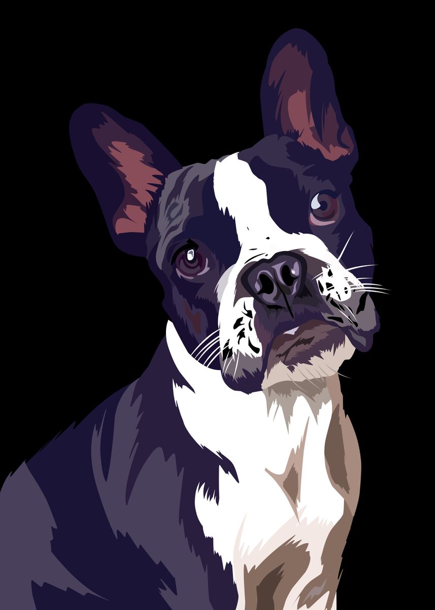 'Boston terrier dog vector' Poster, picture, metal print, paint by Ihsa ...